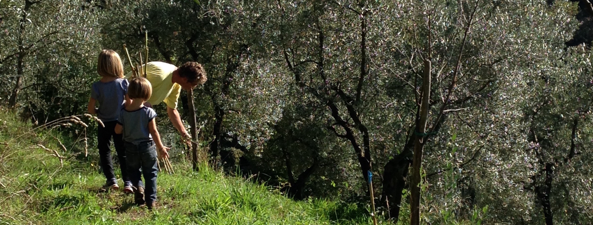 crescere